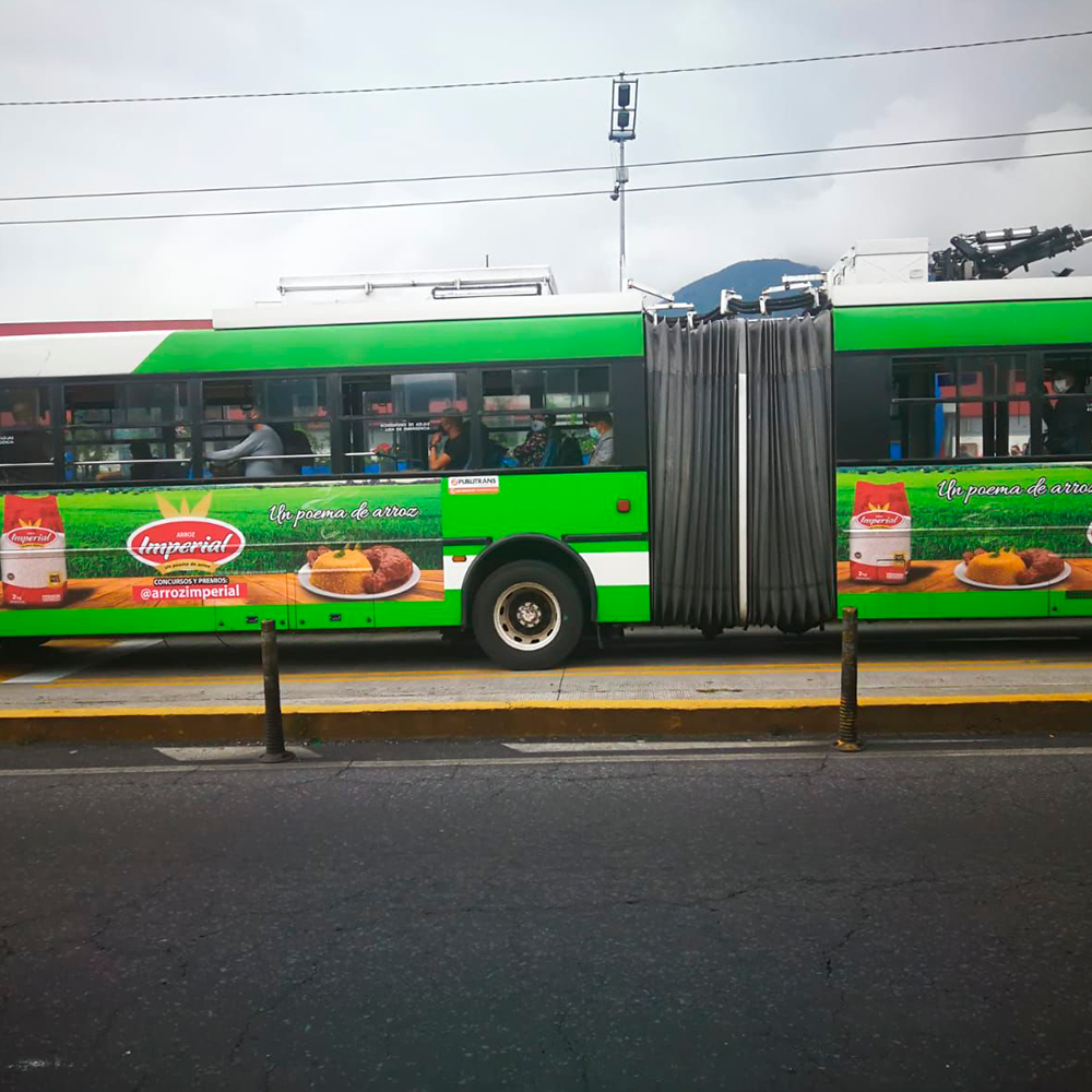 Trole bus y ecovia